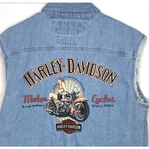 HarleyDavidson Shirts Harley Davidson Mens Med Denim Shirt Pinup